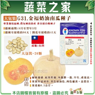 【蔬菜之家滿額免運】大包裝G31.金福奶油南瓜種子20顆 新品種小果奶油南瓜 早生豐產 肉質Q甜