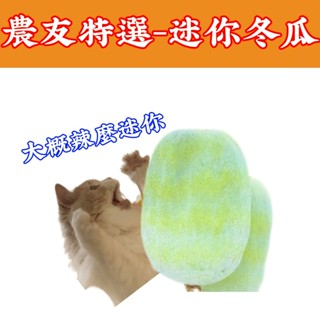 迷你冬瓜【農友種苗】農友種苗 迷你冬瓜 (特選種子) 蔬菜種子 每包約12粒 保證新鮮種子