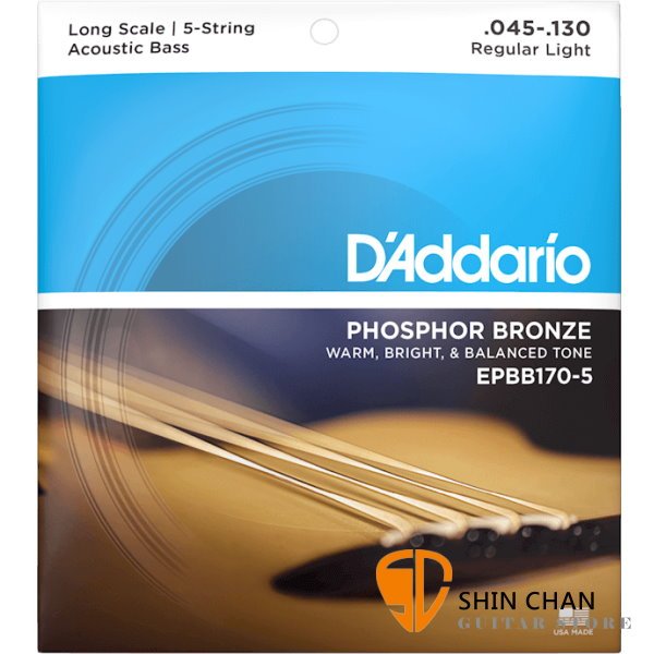 D'addario EPBB170-5 磷青銅 五弦 木貝斯弦 【Acoustic Bass Strings】