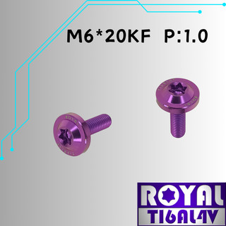 【瘋螺絲】ROYAL 鈦合金螺絲★M6*20KF P:1.0 大飛碟頭螺絲★64鈦/正鈦/鈦合金螺絲★出貨附發票★皇家紫