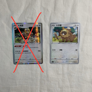 PTCG 寶可夢卡牌 中文版 大牙狸