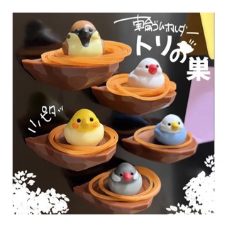 ＊Gladness day 日韓代購＊ 預購 日本 biite 鸚鵡鳥巢 造型 橡皮筋收納磁鐵 裝飾品