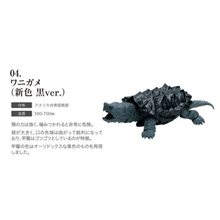正版 BANDAI 萬代 烏龜環保扭蛋 04 鱷龜 黑色 關節 可動 烏龜 造型轉蛋 扭蛋 - 全新未拆 (單個)