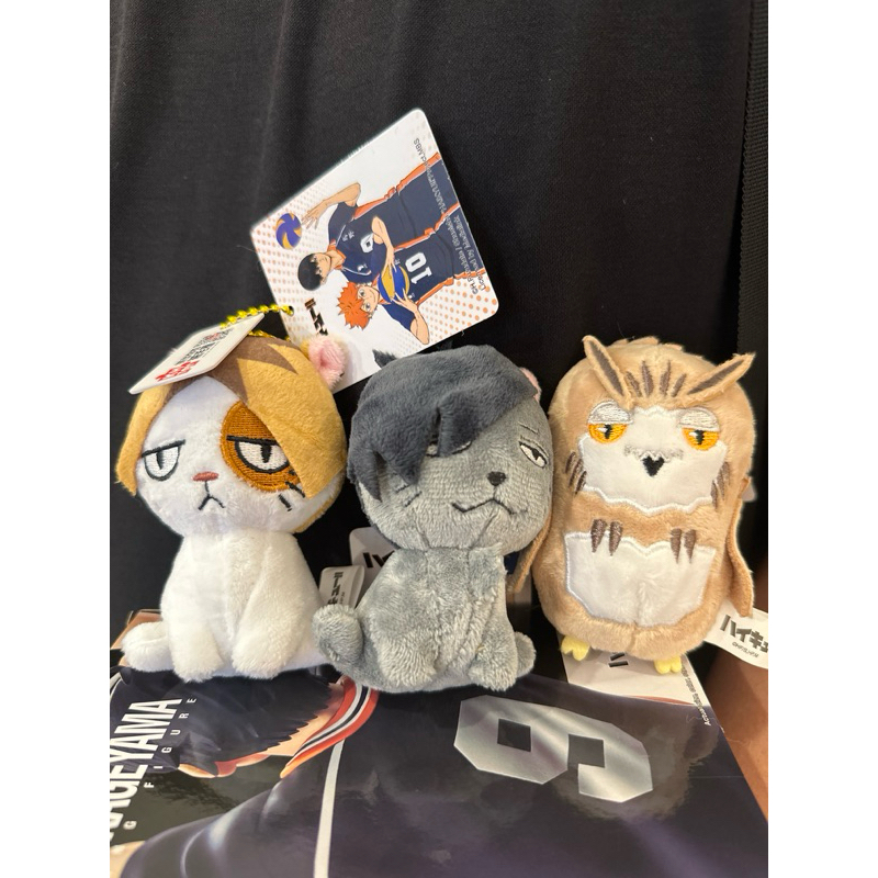 排球少年 官方正品 快閃店帶回 黑尾貓 研磨貓 木兔 3吋娃娃 6吋娃娃 研磨 黑尾