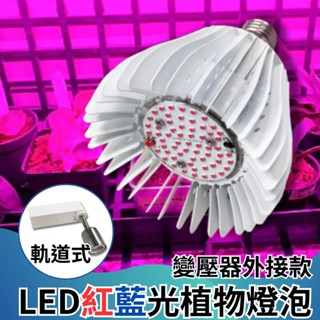 【君沛植物燈】LED植物燈 50瓦 紅藍光譜燈杯 外接變壓器款 軌道型 植物生長燈