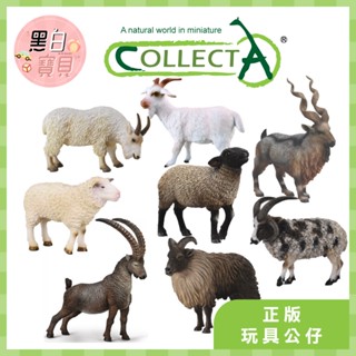 【臺灣現貨】collectA動物模型 綿羊 黑臉羊 四角羊 喜馬拉雅塔爾羊 比利公山羊 捻角山羊 公山羊