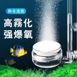 【現貨 免運】水族空氣細化器 打氣幫浦 魚缸氣泡盤 奈米氣盤 增氧細化器 霧化氣泡條 魚缸增氣 奈米氣泡盤 氣頭裝置