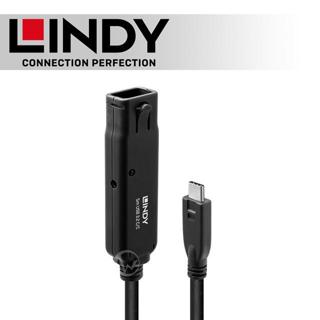 LINDY 林帝 主動式USB3.2 Gen2 純DATA Type-C 延長線 5M (43405)