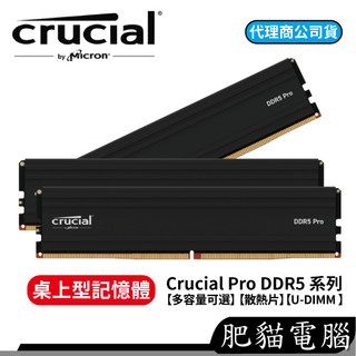 Micron美光 Crucial Pro DDR5 5600 6000 16G 24G 32G 雙通道 含散熱片 記憶體