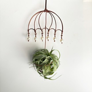 雨傘 空氣鳳梨的家 多肉植物 鹿角蕨 盆栽 花盆 鋁線裝飾品 空鳳架 空鳳花架 園藝(不含空氣鳳梨)