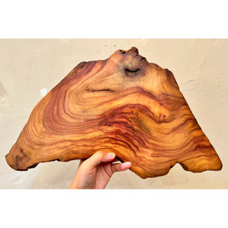 臺灣牛樟—萬用臺座/原木/拍攝道具/水晶底座/手工細緻拋磨（兩面皆可使用，獨一無二，僅此一件）