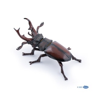 恐龍動物模型 papo 50281 鍬形蟲 甲蟲