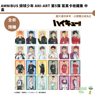 amnibus 排球少年 Ani-Art 第5彈 寫真卡收藏集 中盒 全新現貨