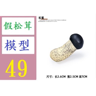 【臺灣倉庫現貨】香菇蘑菇菌類植物模型塑膠兒童玩具 假松茸模型 假松露 香菇道具