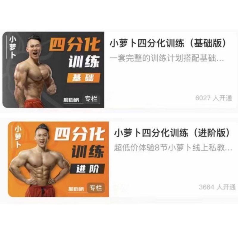 小蘿蔔四分化訓練基礎版+進階版共2套課程合集教學視頻（附贈隨身碟）