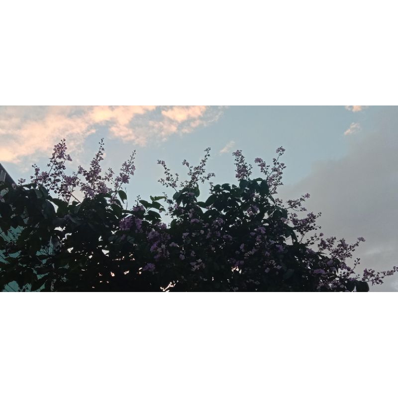 CWTK46用的蕪湖