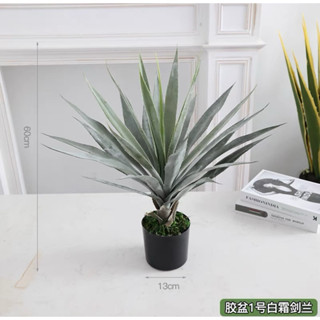 😇宅配免運費😇北歐模擬劍麻 沙漠植物 劍麻盆栽 仿生劍蘭 綠植設計 景觀櫥窗 龍舌蘭 室內落地裝飾植物 假植物 擬真植物