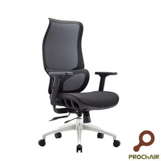 『PRO ChAIR椅子多』Otis 奧堤椅 人體工學椅 全網椅 灰框 辦公椅 電腦椅 腰枕 廣角頭枕 坐墊前後 免運