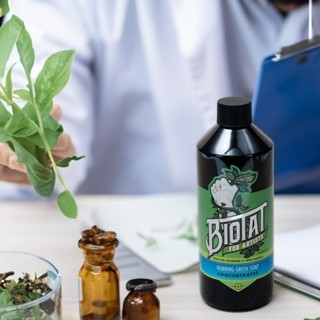 美麗紋專業紋身器材:Biotat濃縮綠皂 藍綠包裝 英國拜你所刺紋身專用AD膏草本萃取綠藻凡士林修護膏綠皂