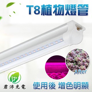 【君沛植物生長燈】 T8一體式植物燈管 3呎25W 紅藍光譜 LED植物燈 植物生長燈