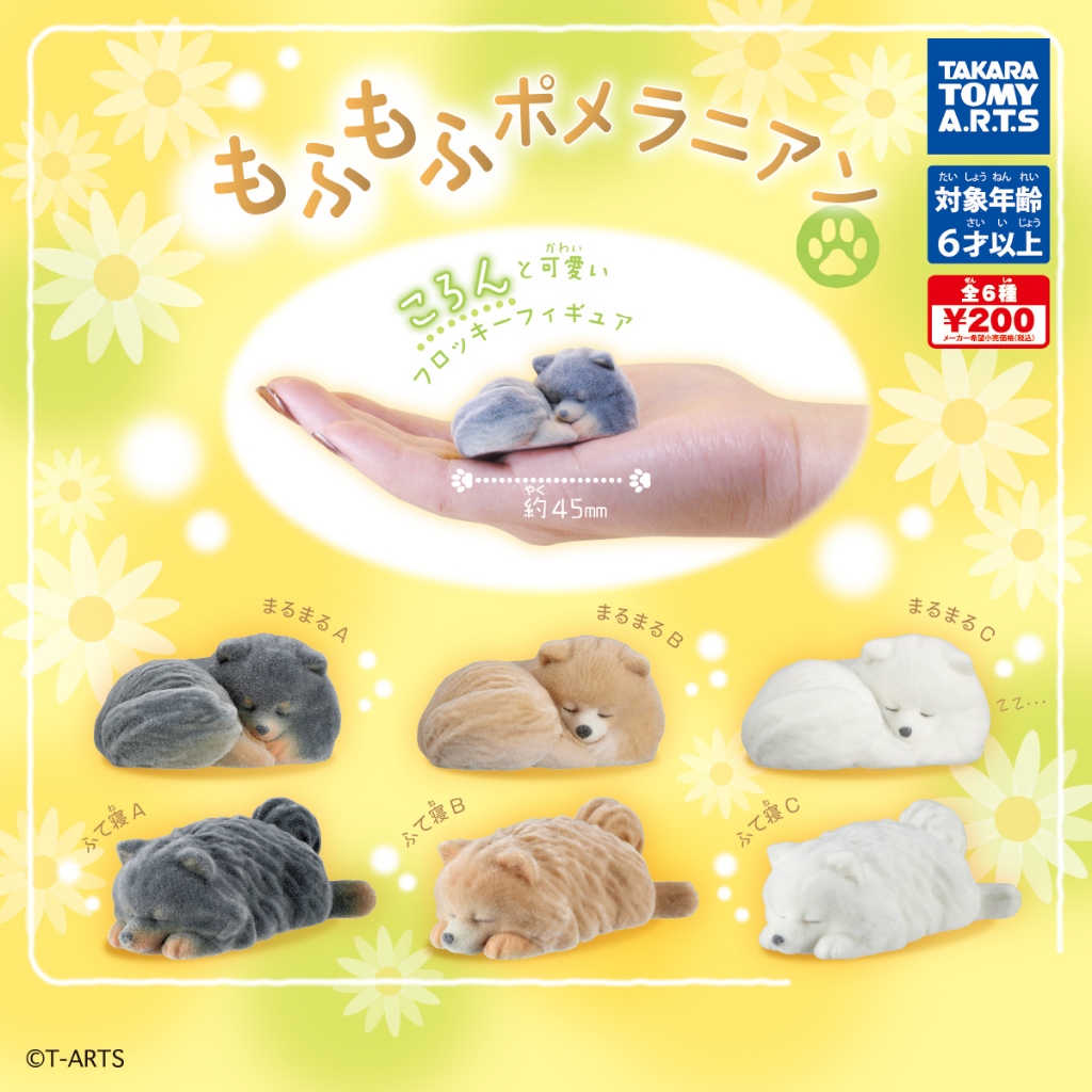 『Vic Toy』扭蛋 轉蛋 日版 TTA 植絨博美犬公仔 蓬鬆博美犬 博美犬 動物 狗 公仔 多件優惠 一顆50元