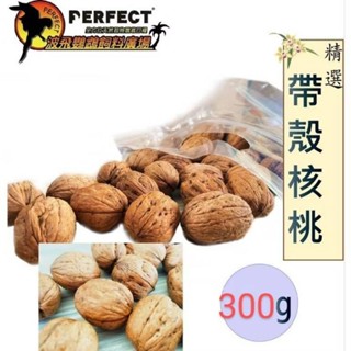 【★波飛寵物★】帶殼核桃 300克 (天然鸚鵡零食)