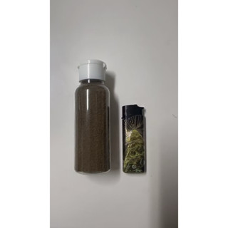【百萬魚坊】黑木炭 純種孔雀魚一對 孔雀魚飼料 同品項三對以上優惠 滿1200免運費