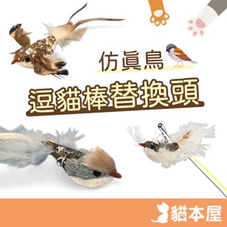 貓本屋 模擬鳥替換頭【現貨】逗貓棒替換頭 模擬鳥逗貓棒 逗貓棒 小鳥替換頭 替換頭