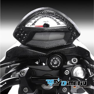 【柏霖】DIMOTIV KAWASAKI ER6N 09-11 車身飾貼 DMV