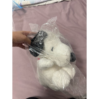 二手史努比 Snoopy 娃娃 絨毛玩具 可愛玩偶