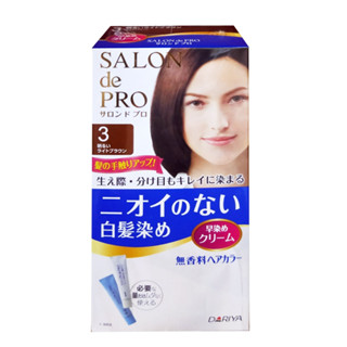 DARIYA沙龍級無味染髮劑(自然褐)【三友藥妝Tomod's】