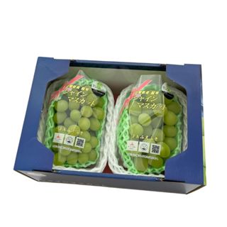 日本山梨麝香葡萄PE盒裝2入禮盒