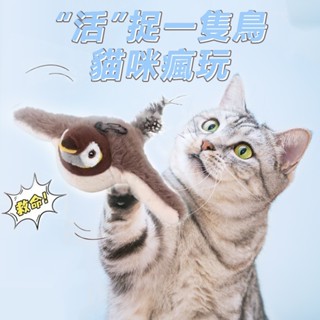 【限時特惠】不死鳥寵物玩具 抖抖鳥 電動抖抖鳥 不死鳥寵物玩具 寵物玩具 模擬小鳥玩具 啾啾鳥 貓玩具 逗貓玩具