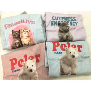 【設計師款】泰國設計師 可愛動物T-shirt 貓咪／北極熊