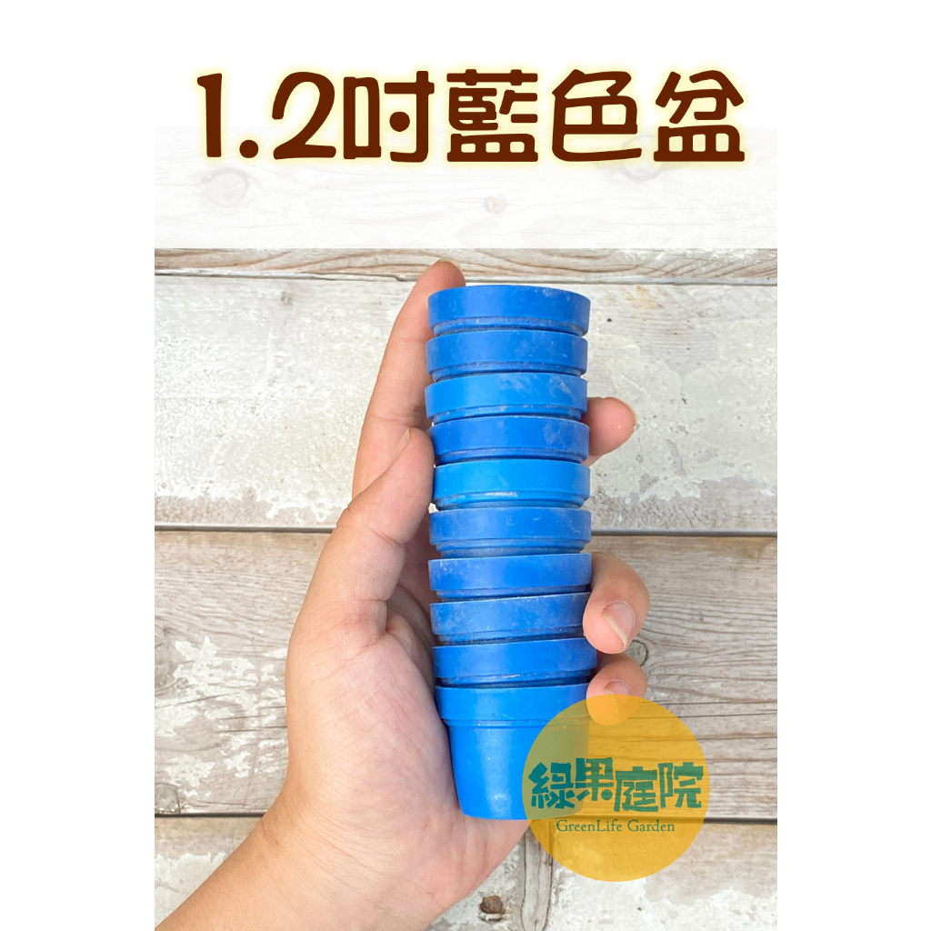 綠果庭院-資材-二手塑膠盆1.2吋/3吋/1吋 三吋盆一吋盆塑膠盆  種植盆栽 花盆已洗淨育苗種植的最佳選擇 多肉仙人掌