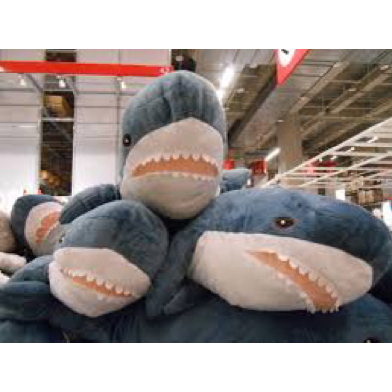 二手鯊魚娃娃🦈 100cm 80cm 便宜賣☺️