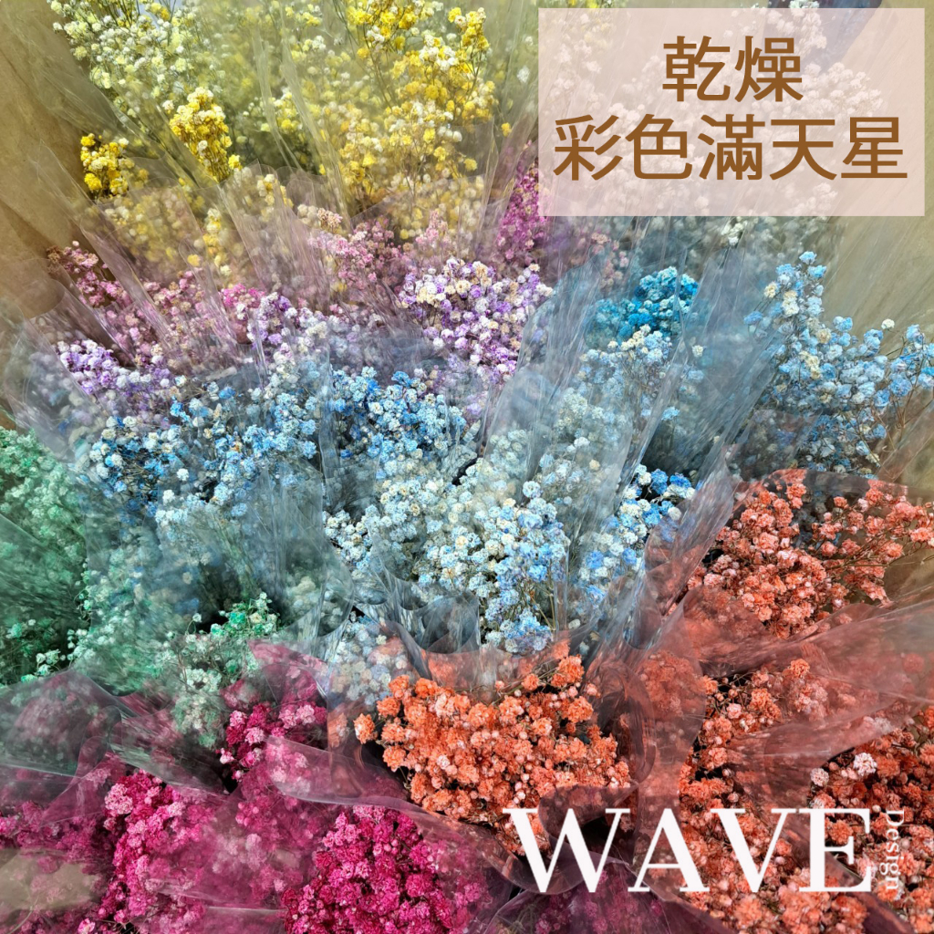 《WAVE Design 》台灣現貨 滿天星 乾燥花材 天然乾燥花 植物果實 花材 花藝材料 拍照道具 永生花 DIY