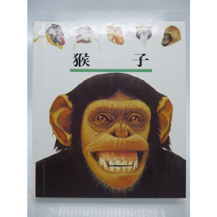 【月界二手書店2S】猴子－第一個發現系列31．精裝本（絕版）_理科出版社　〖少年童書〗CEB