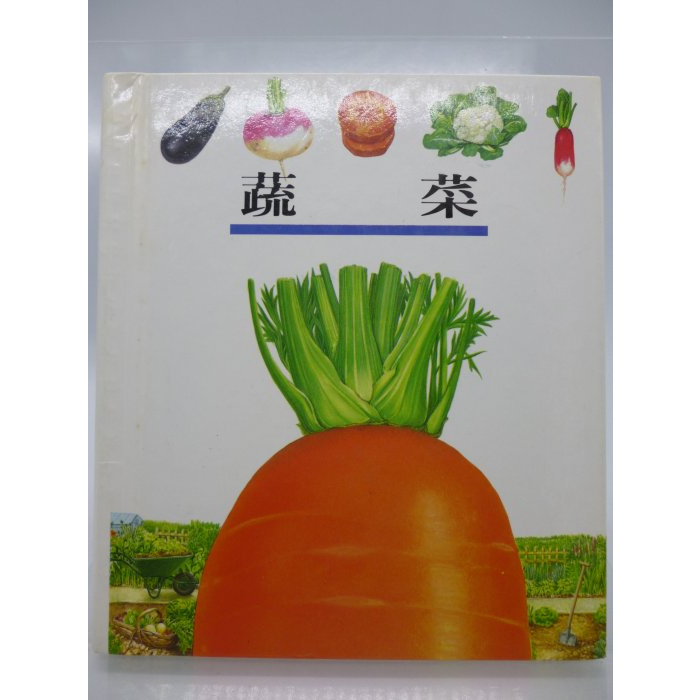 【月界二手書店2S】蔬菜－第一個發現系列44．精裝本（絕版）_理科出版社　〖少年童書〗CEB