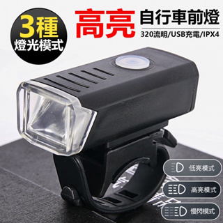 RAYPAL (169) USB前燈 充電式 300流明 自行車前燈 前燈 自行車前燈 自行車燈 單車前燈