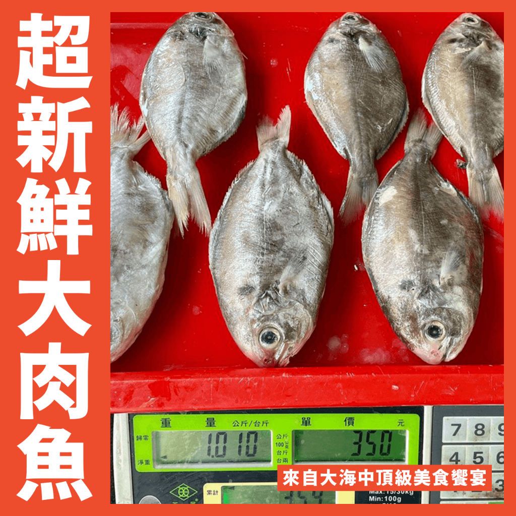 【鮮煮義美食街】超級大肉魚每尾150g/1公斤
