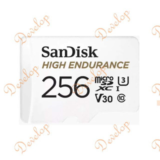 SanDisk HIGH ENDURANCE 記憶卡 256GB 公司貨 高耐久度影片監控專用