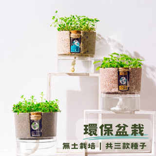 環保盆栽 ECO POT 桌上盆栽 療癒盆栽 環保禮物 造型盆栽 辦公室盆栽 迷你盆栽 DIY種子栽種