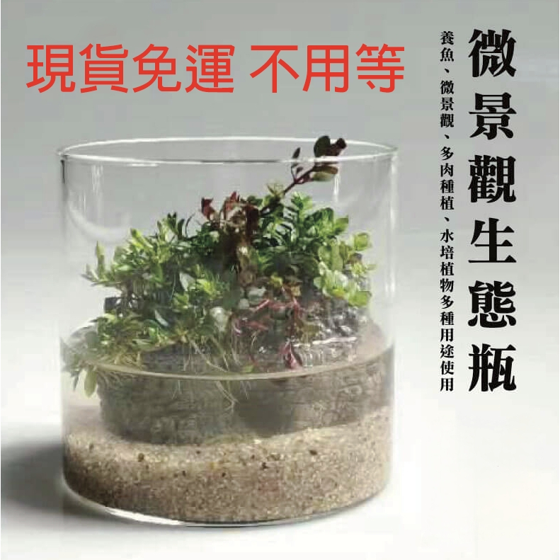 超透明柱型 生態缸 生態瓶 魚缸 多肉植物 苔蘚缸 水耕 魚菜共生 微景觀