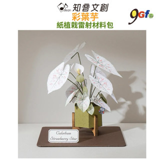 紙模型 紙植栽雷射材料包 彩葉芋 9028411 紙風景 手作 擺飾 紙模型紙雕 裝飾 DIY 壓克力 壓克力展示盒