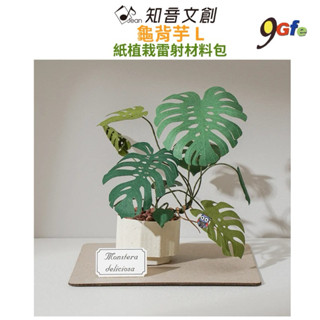 紙模型 紙植栽雷射材料包 龜背芋 9028409 紙風景 手作 擺飾 紙模型紙雕 裝飾 DIY 壓克力 壓克力展示盒