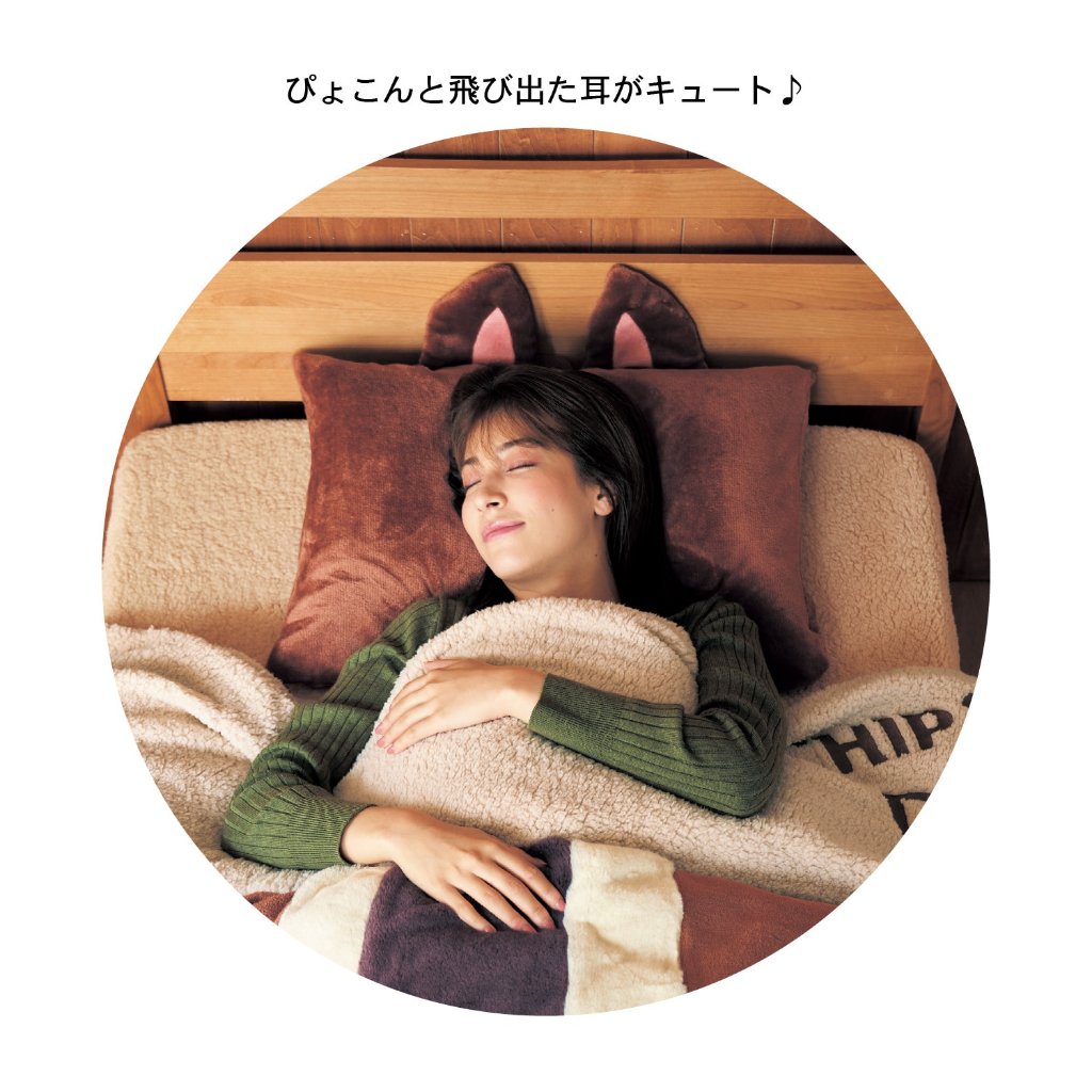 日本剛上市就要缺貨了💦奇奇蒂蒂 雙人 單人 日本 迪士尼 床單 床包 寢具 床包組 被套 民宿 裝飾 佈置 棉被 收納袋