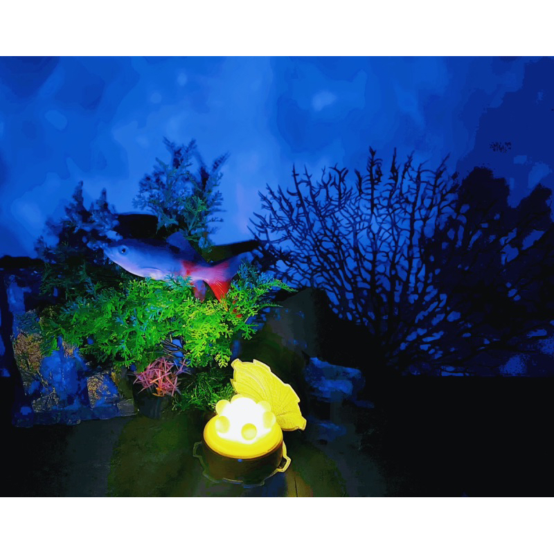 3D列印-造型貝殼燈_生日、情人禮物_收藏、擺飾、夜燈