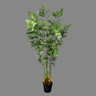 😇宅配免運費😇大型植物 模擬綠植 室內裝飾 蘇鐵盆栽 鐵蘇盆子 網紅仿真植物 百搭綠植 德寶蘇鐵盆栽