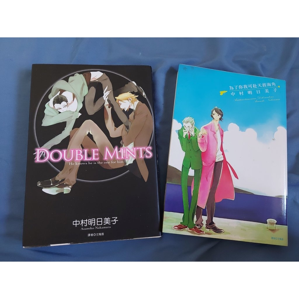 二手/BL漫畫/中村明日美子/為了你我可赴天涯海角/DOUBLE MINTS